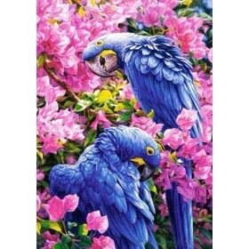 Diamantové malování Modří papoušci 30x40cm