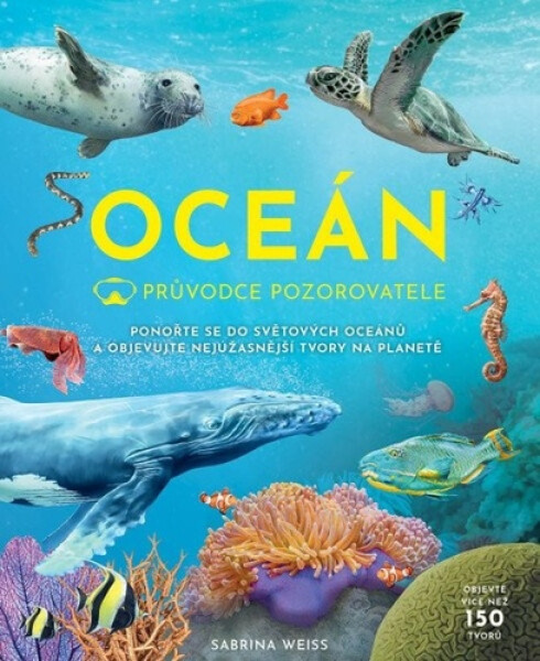 Průvodce pozorovatele: Oceán