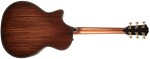 Taylor Builders Edition 914ce WHB