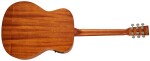 Tanglewood TR 3 E