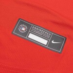 Nike Pánský dres Washington Nationals MLB Alternate 2 Limited Velikost: M