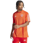 Adidas FC Bayern CO Tee IQ0601