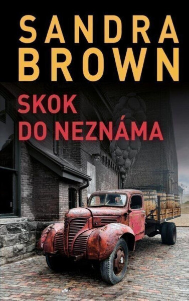 Skok do neznáma (poškozené) - Sandra Brown