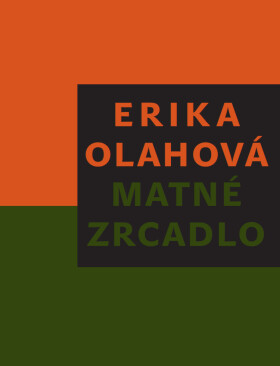 Matné zrcadlo - Erika Olahová