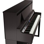 Roland LX-6 DR