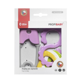 Chrastítko 2ks plast v krabičce 13x16cm 0m+