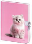 Památník se zámkem Lovely Kitten