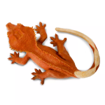 Safari Ltd. Safari Ltd. Figurka - Gekon chocholatý