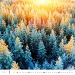 Nástěnný kalendář 2026 Helma - Les