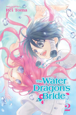 The Water Dragon´s Bride, Vol. 2 - Rei Toma