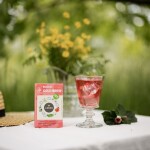 Leros Bucco Cold brew Ledový čaj DOPRODEJ