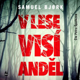 V lese visí anděl - Bjork Samuel - audiokniha