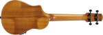 Ibanez AUC10E Natural
