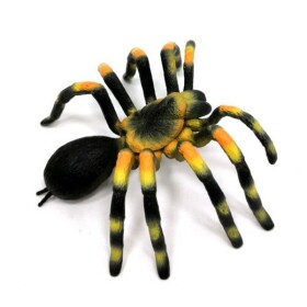 A - Figurka Pavouk Sklípkan smithův 11 cm
