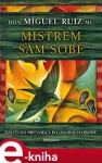 Mistrem sám sobě, 2. vydání - Ruiz