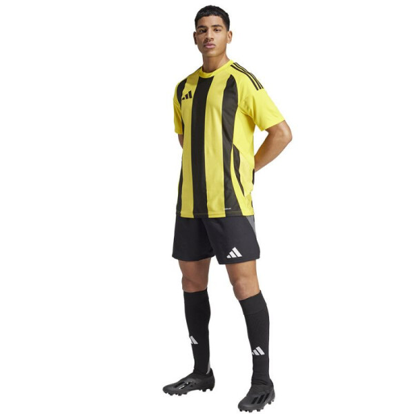 Adidas Striped 24 JSY M IW2146 tričko m