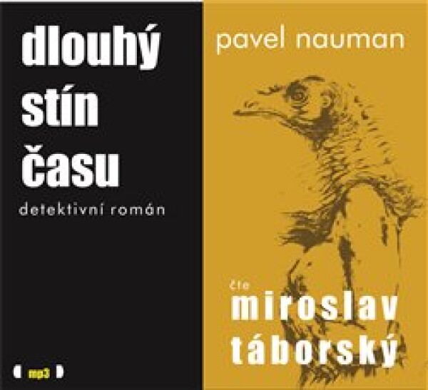 Dlouhý stín času Pavel Nauman