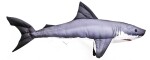 Gaby Polštář Žralok 120 cm,Gaby Polštář Žralok 120 cm