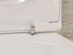 HANSGROHE - EluPura S Závěsné WC se sedátkem SoftClose, AquaFall, HygieneEffect, bílá 62021450