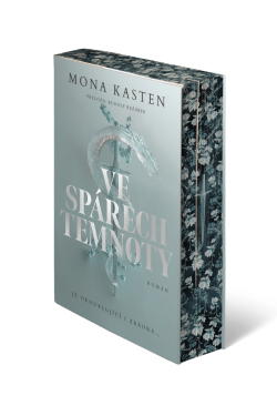 Ve spárech temnoty - Mona Kasten