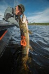 Savage Gear Gumová nástraha Mutant Rat SS Black Red - 24cm 68g,Savage Gear Gumová nástraha Mutant Rat SS Black Red - 24cm 68g