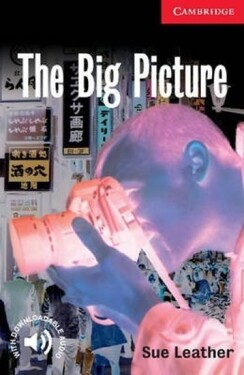 Big Picture - Sue Leather