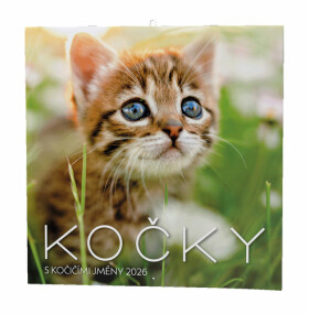 Kočky 2026 - nástěnný kalendář