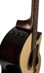 Taylor Builders Edition 814ce