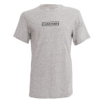 Pánské tričko s krátkým rukávem NM2268E-P7A - Calvin Klein M