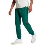 Kalhoty adidas Essentials Big Logo French Terry M JE8971 s