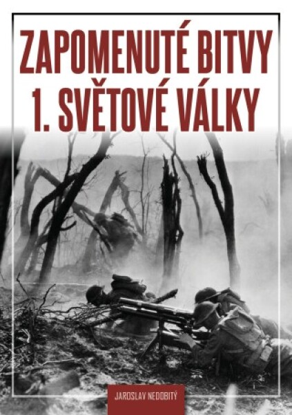 Zapomenuté bitvy 1. světové války - Jaroslav Nedobitý - e-kniha