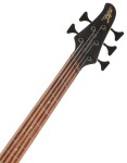 Dingwall D-Roc 5 MN Vintage Burst