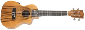 Tanglewood TWT 13 E