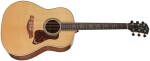 Taylor Gold Label 817e