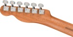 Fender Acoustasonic Player Tele RW BRSH BK