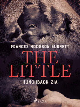 The Little Hunchback Zia - Frances Hodgsonová-Burnettová - e-kniha