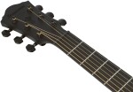 Ibanez AEG621-BOT
