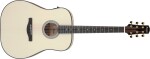Ibanez AAD371E ATW