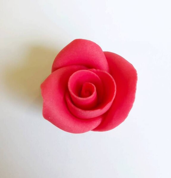 Dortisimo Cukrová růže malá červená (49 ks)