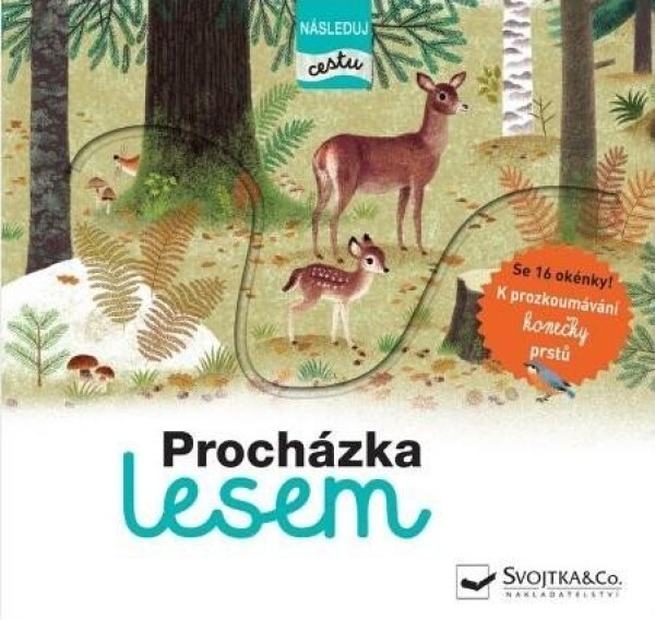 Procházka lesem následuj cestu