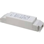 BIG WHITE (SLV) Můstkový LED driver 42 W, 500 mA pro NUMINOS®, včetně radiofrekvenčního rozhraní pro modul RF, DALI 1006459