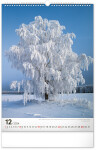 Kalendář 2024 nástěnný: Stromy, 33 × 46 cm