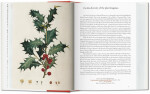 Garden Eden. Masterpieces of Botanical Illustration. 40th Anniversary Edition Hans Walter Lack