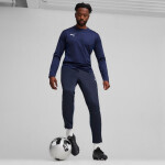 Puma Team Goal Training M kalhoty 658639 06 L