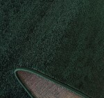 DumDekorace Moderní polypropylenový koberec do obývacího pokoje HEAT SET FRISE - lahvově zelený Šířka: 200 cm | Délka: 290 cm