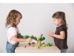 PlanToys PlanToys Balancující kaktus
