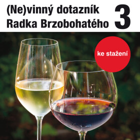 (Ne)vinný dotazník Radka Brzobohatého 3. - audiokniha