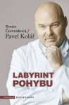 Labyrint pohybu Pavel Kolář, Renata Červenková e-kniha