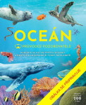 Průvodce pozorovatele: Oceán