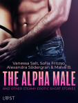 The Alpha Male and Other Steamy Erotic Short Stories - Alexandra Södergran, Malva B., Vanessa Salt, Sofia Fritzon